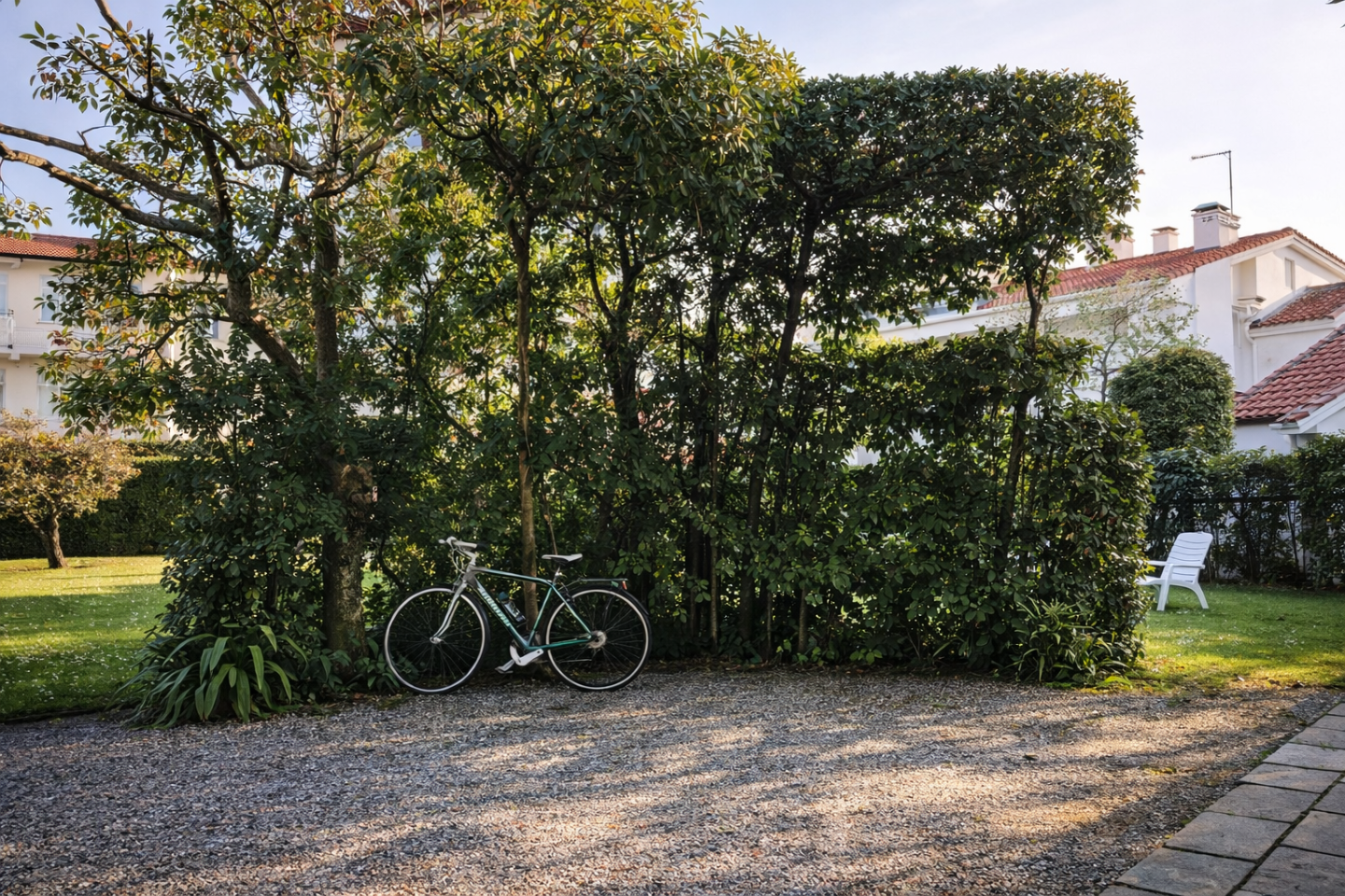 immagine annuncio 4 di 6