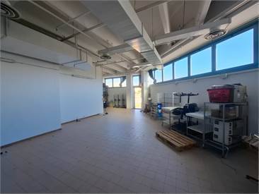 Locale commerciale in affitto a Monfalcone