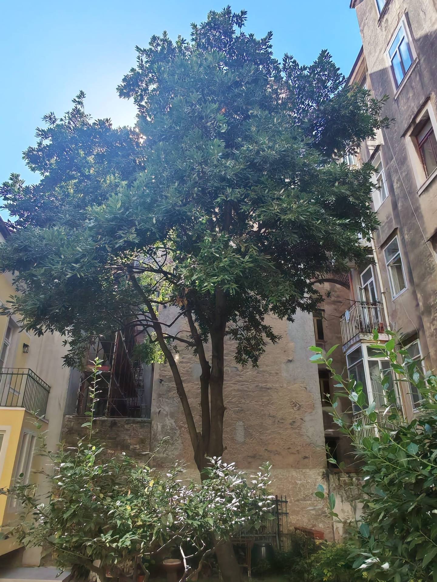 Appartamento in vendita a Trieste, Centro