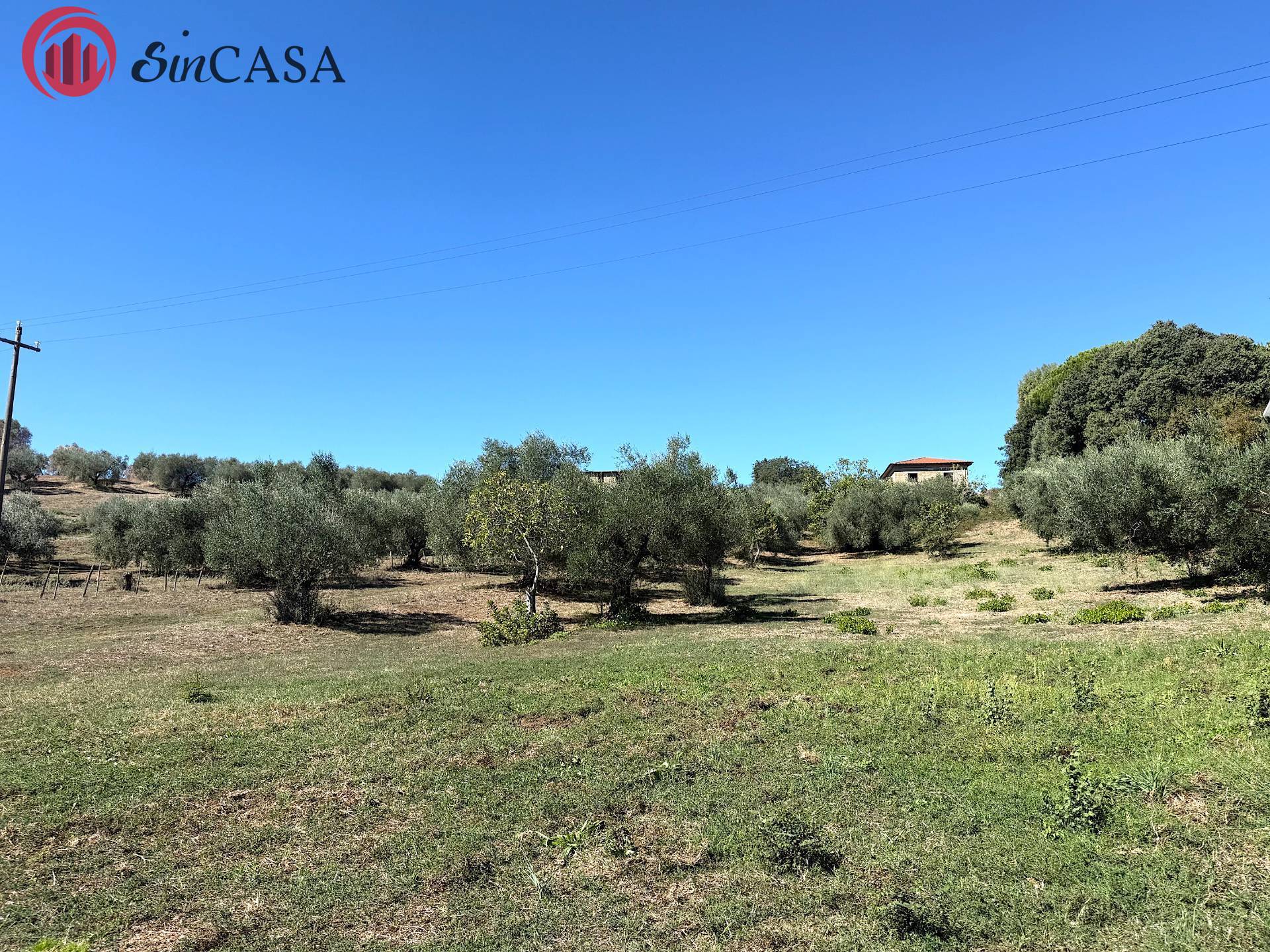 Rustico in vendita a Sacrofano