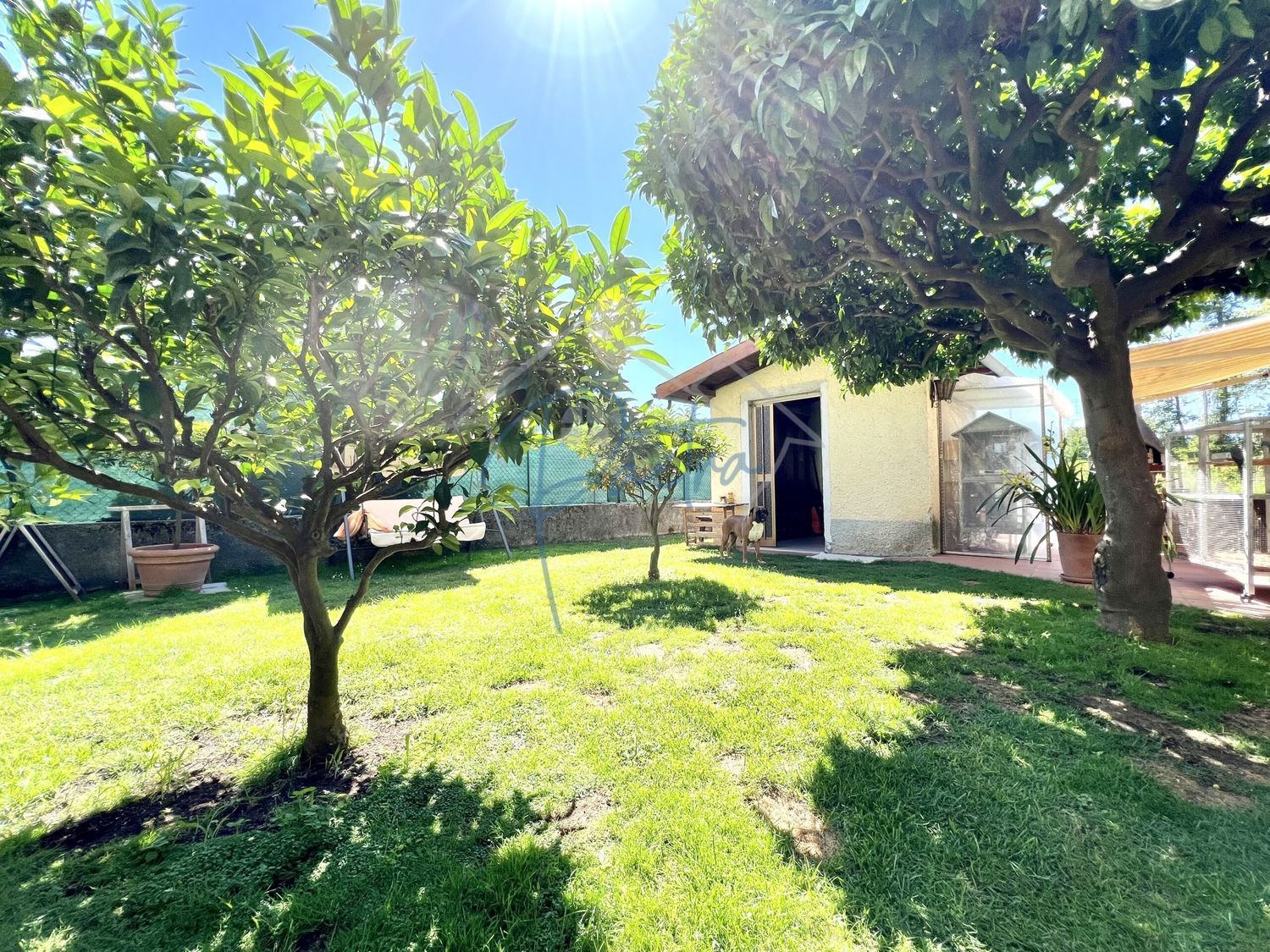 Casa indipendente con giardino a Massa