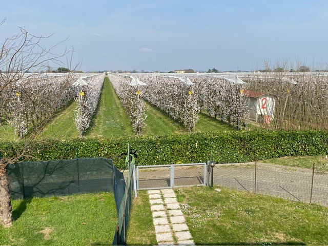 Quadrilocale in vendita a Forl�