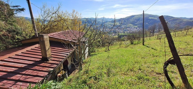 Casa indipendente in vendita a Predappio