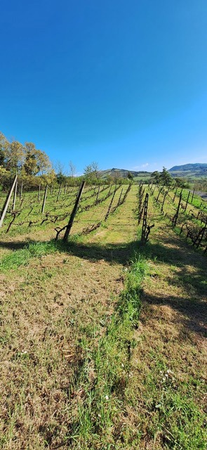 Casa indipendente in vendita a Predappio