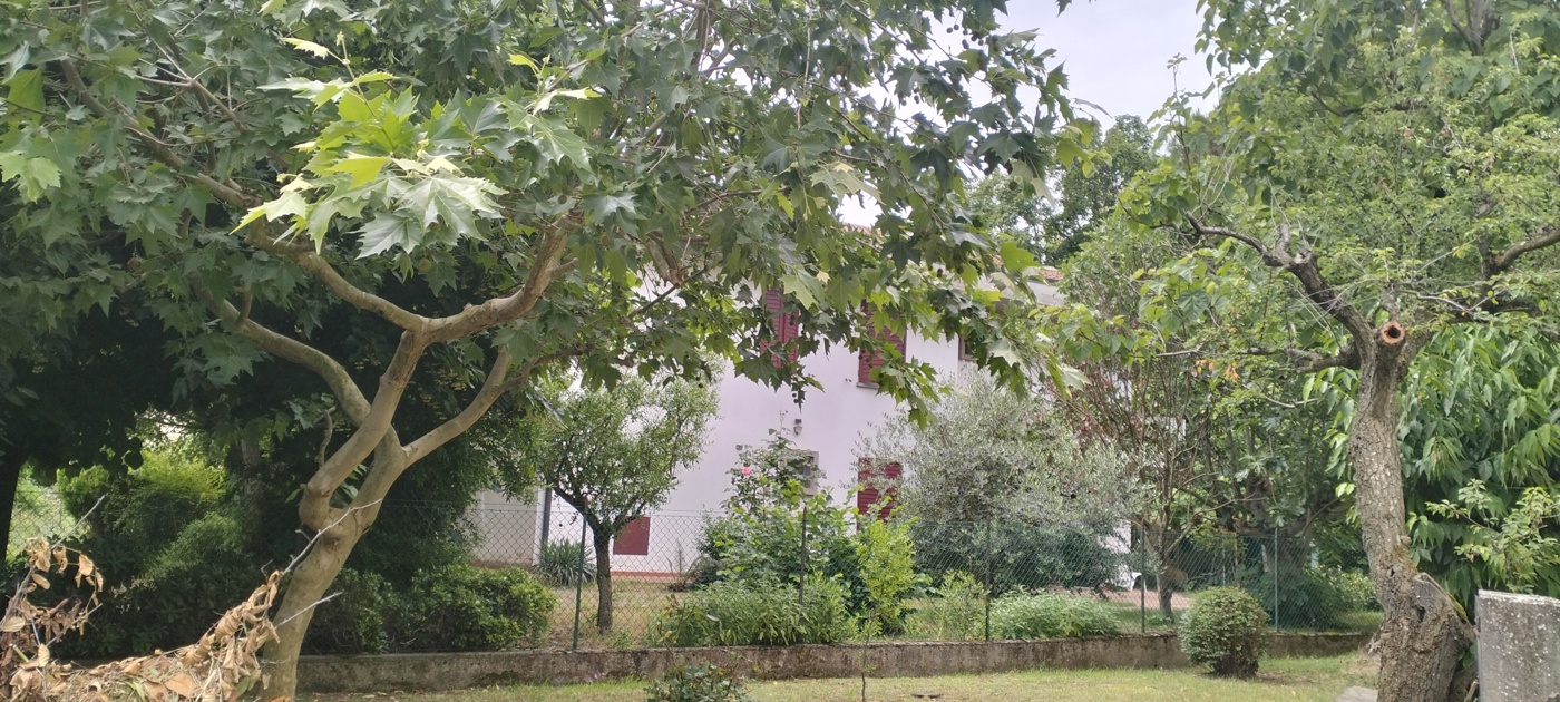 Villa in vendita a Meldola