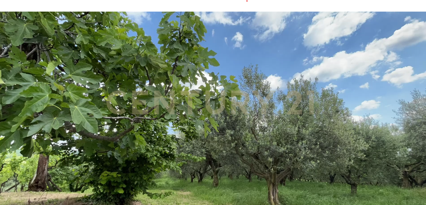 Rustico con giardino in via postuman, Mezzane di Sotto