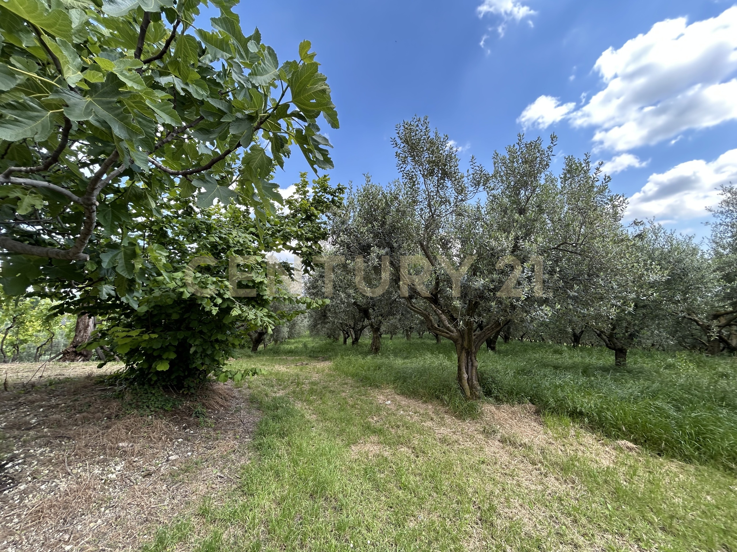 Rustico con giardino in via postuman, Mezzane di Sotto
