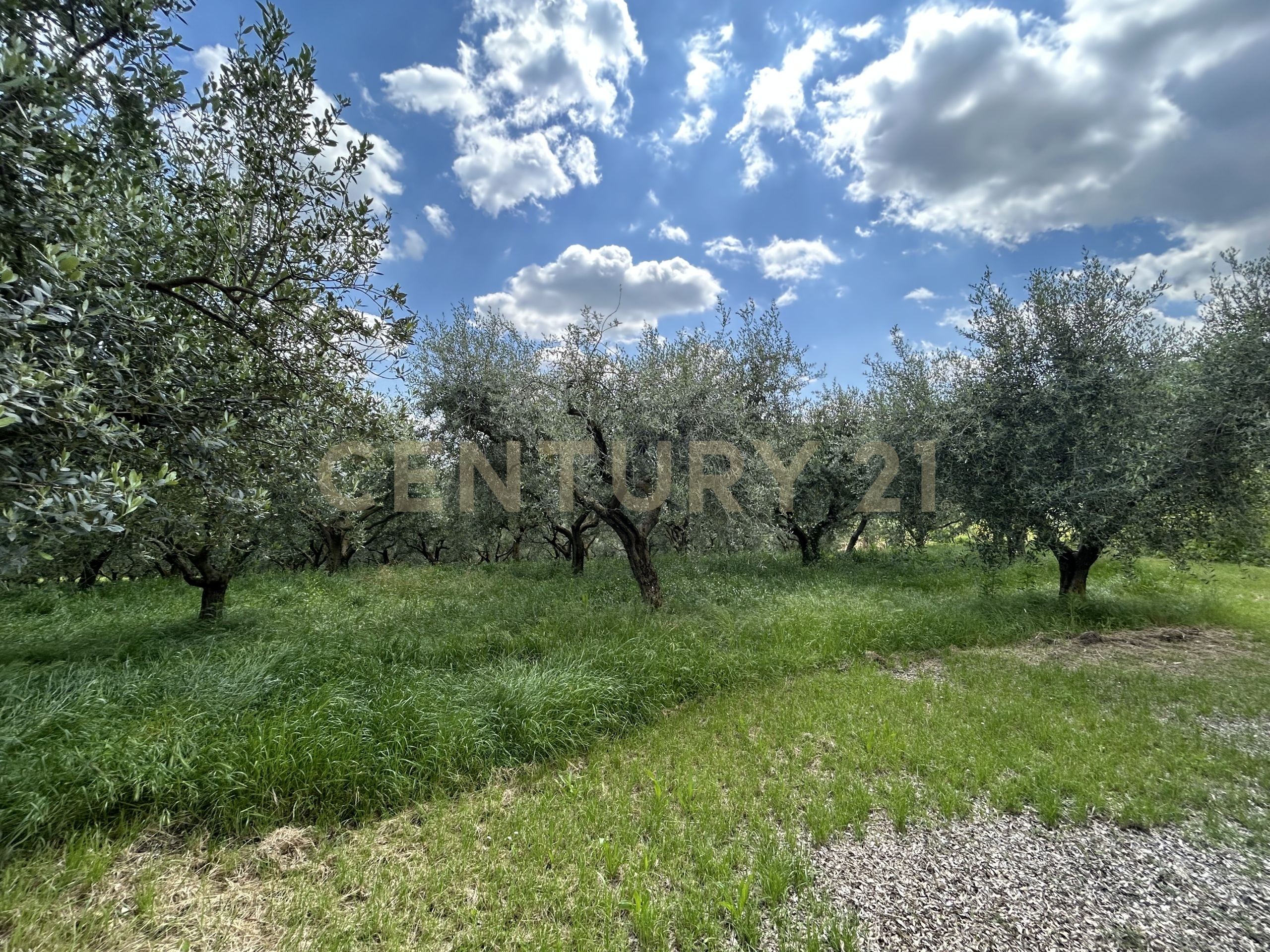 Rustico con giardino in via postuman, Mezzane di Sotto