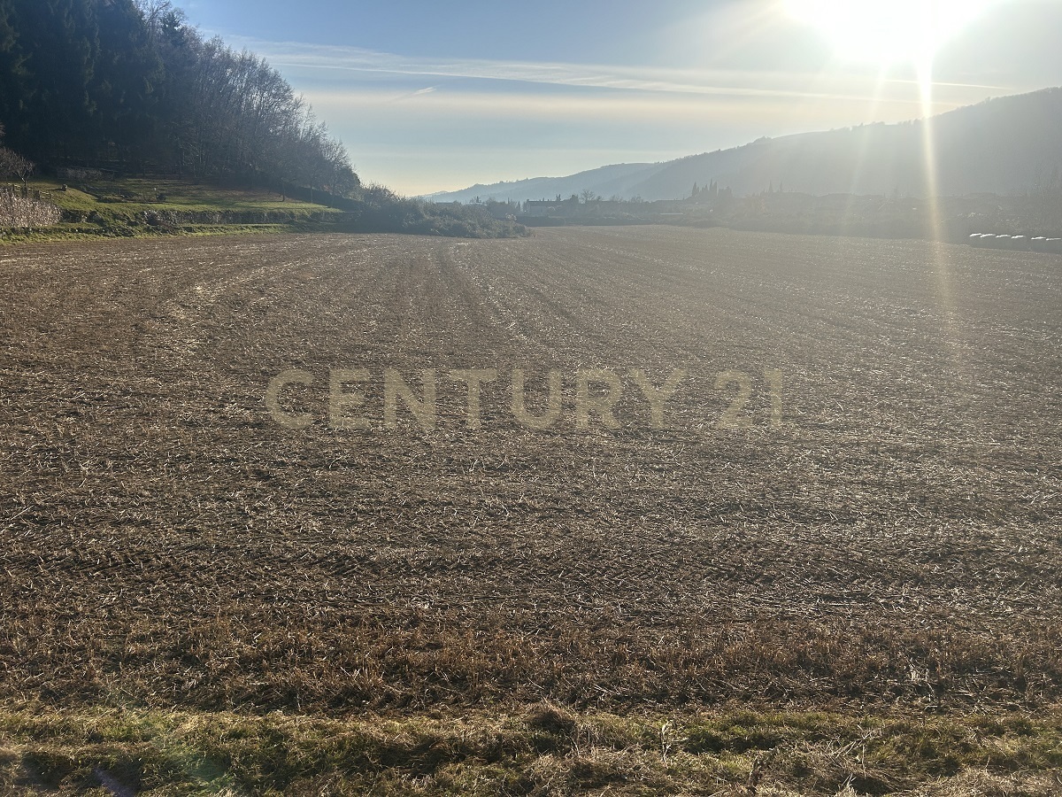 Terreno Edificabile con giardino in via don giovanni calabria 2, Tregnago