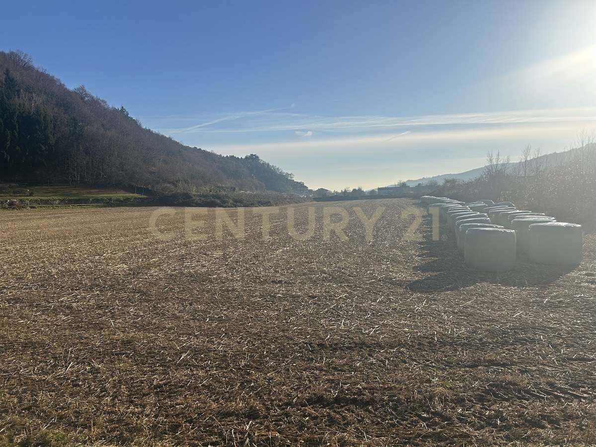 Terreno Edificabile con giardino in via don giovanni calabria 2, Tregnago