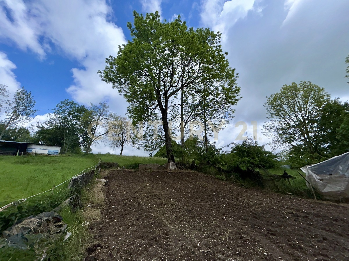 Terreno Agricolo in vendita in contrada tezze, Velo Veronese