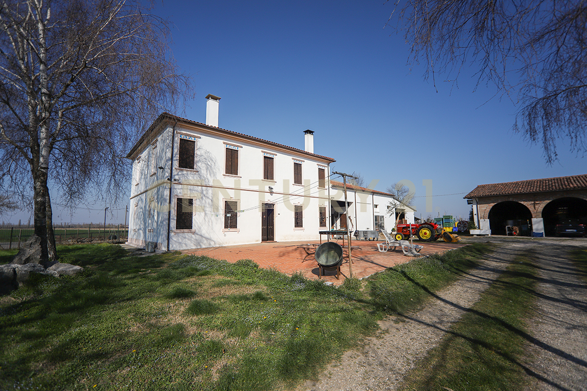 Casa indipendente con giardino in via trento 70, Minerbe