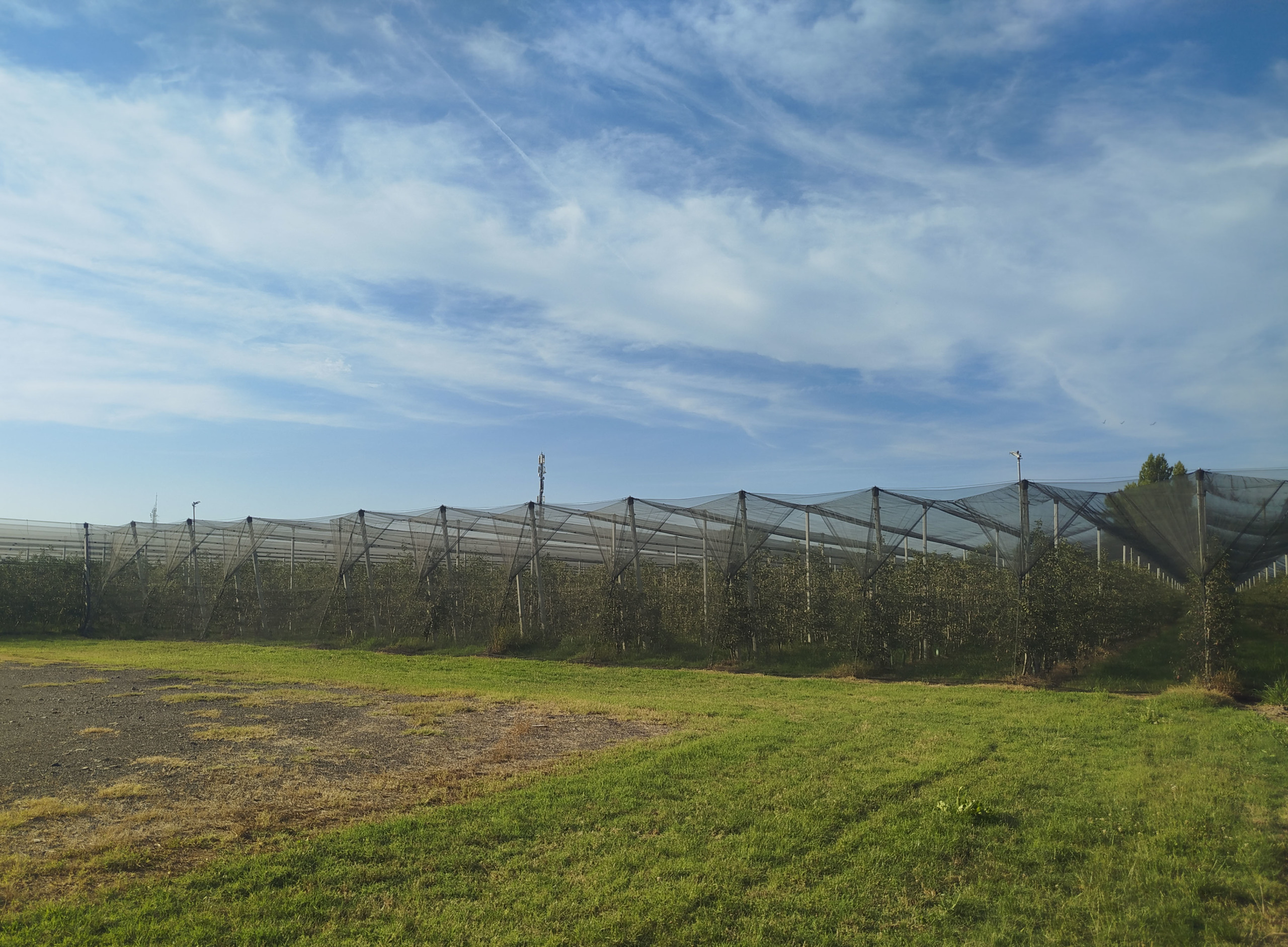 Terreno Agricolo in vendita in via marchiona, Modena