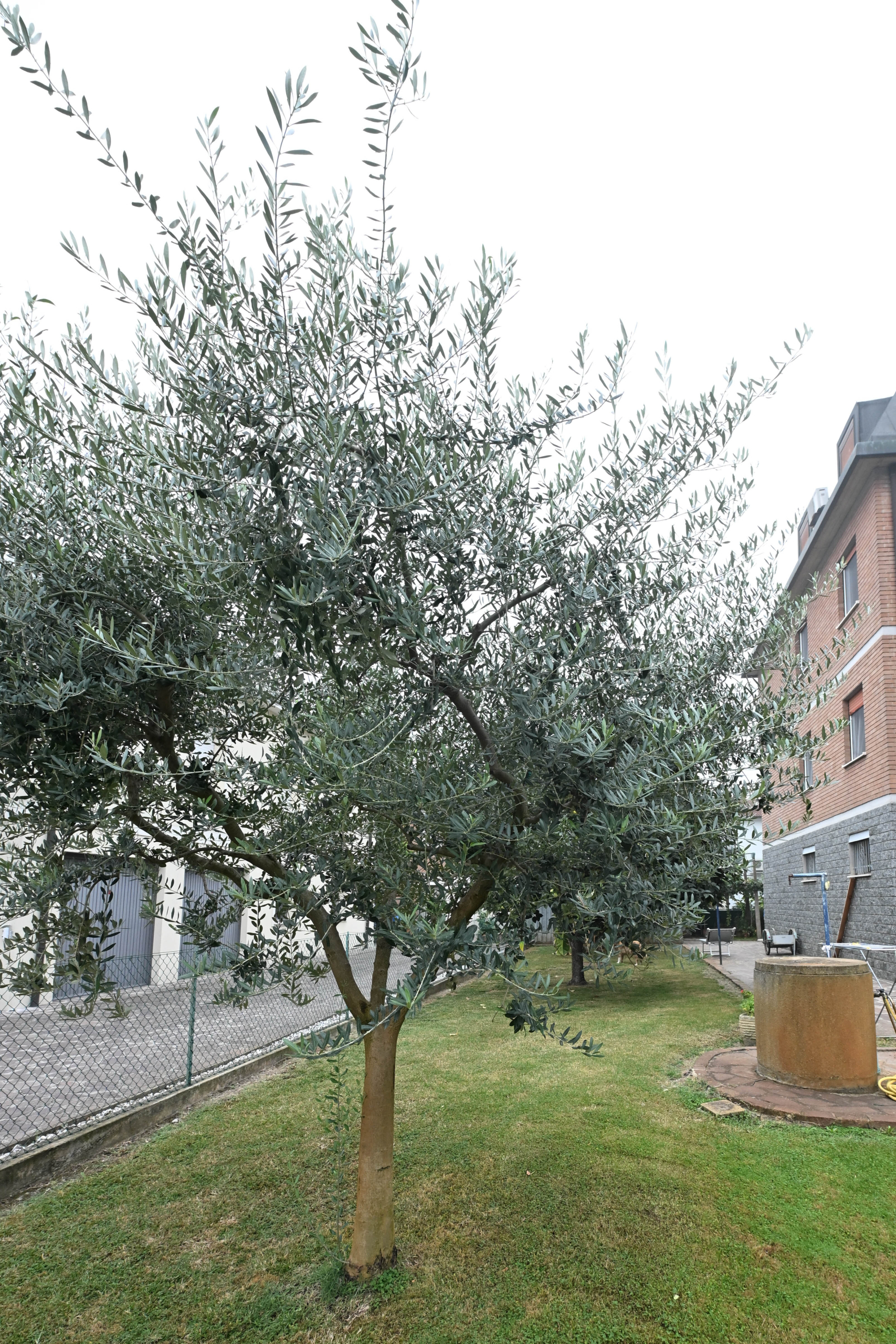 Casa indipendente in vendita in via a. de gasperi 16, Campogalliano