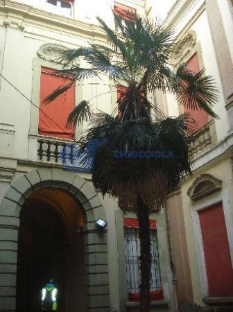 Bilocale in affitto a Bologna