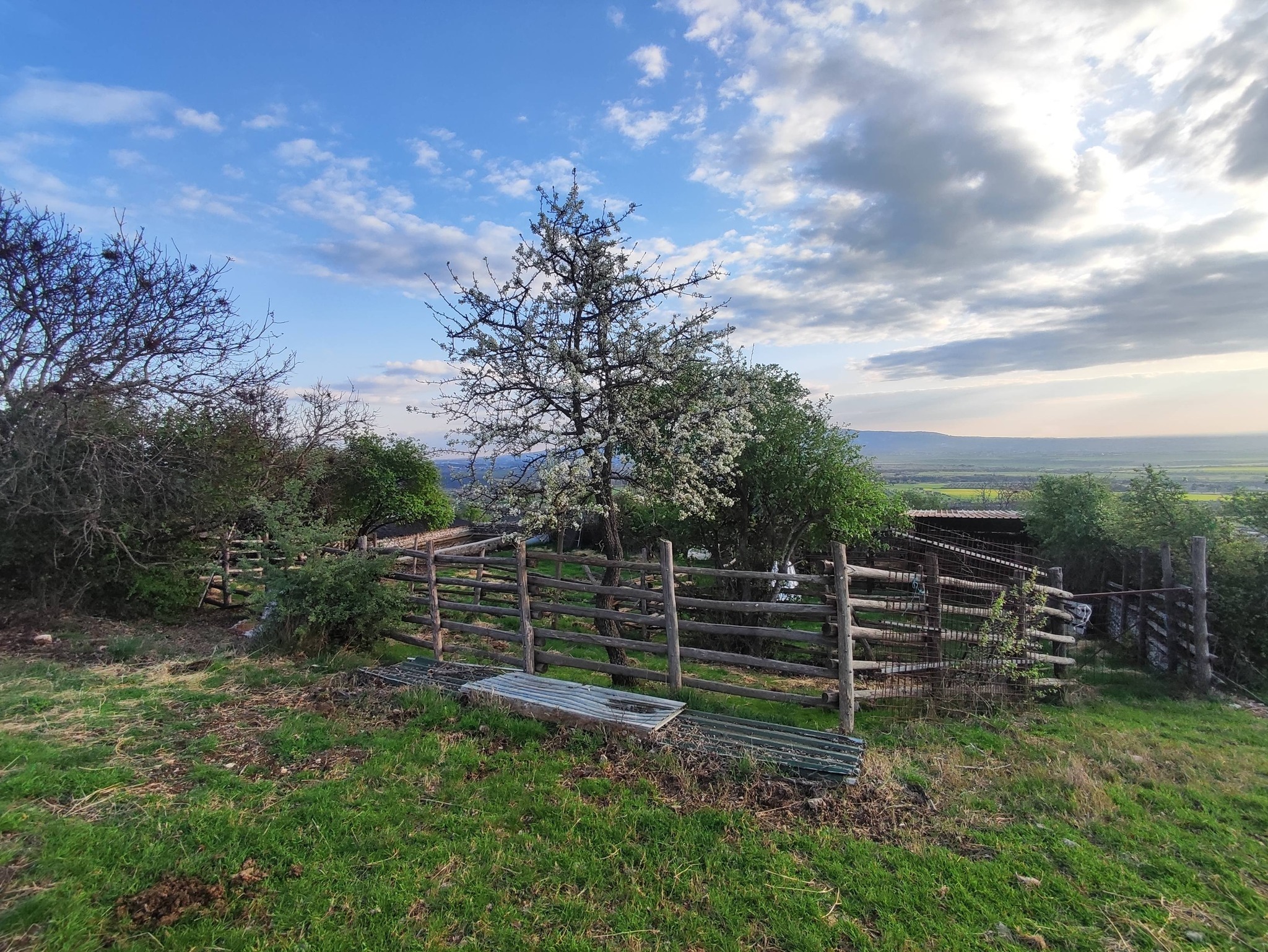 Terreno Agricolo in vendita in sp53a 53, Tivoli