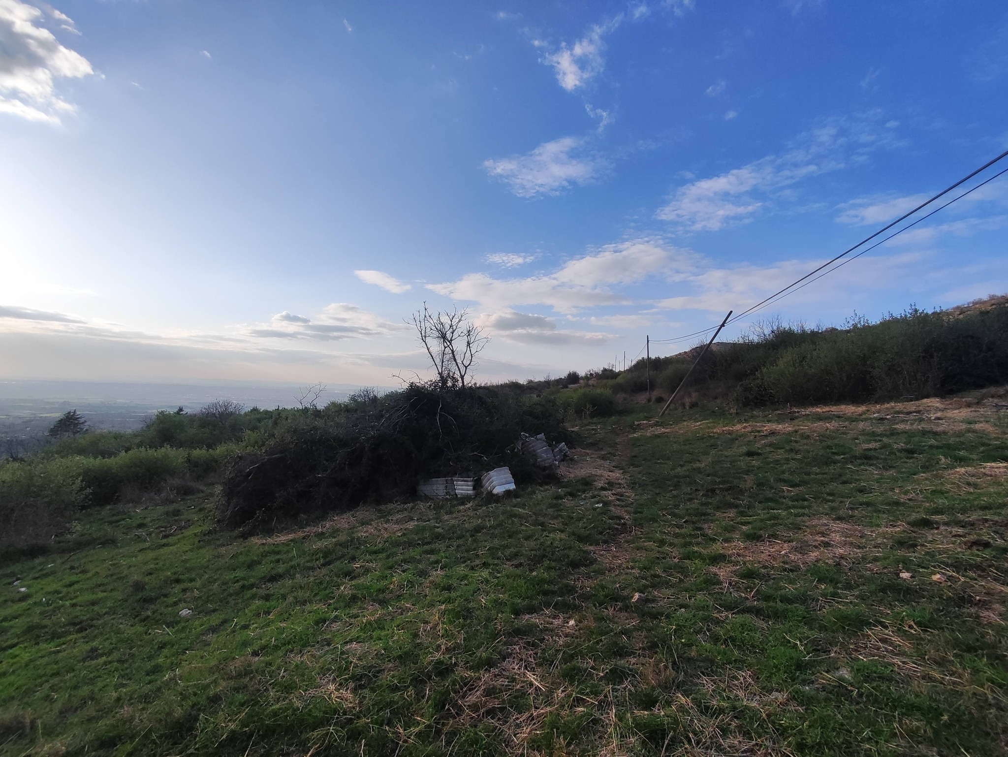 Terreno Agricolo in vendita in sp53a 53, Tivoli