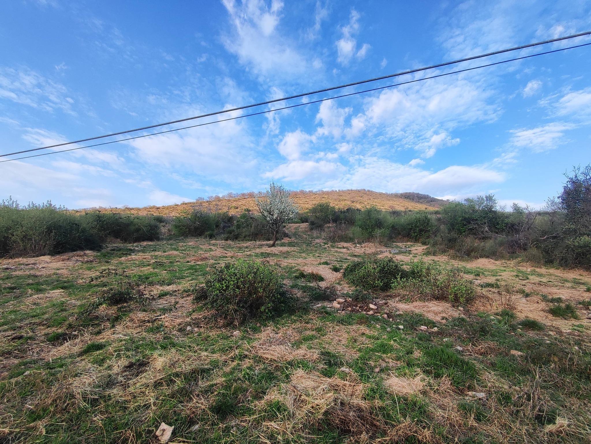Terreno Agricolo in vendita in sp53a 53, Tivoli