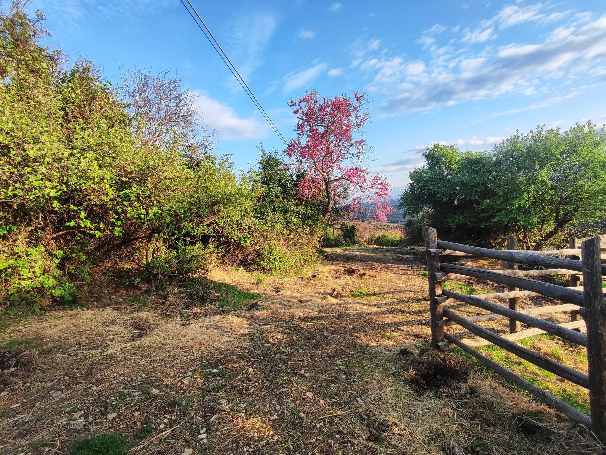 Terreno Agricolo in vendita in sp53a 53, Tivoli