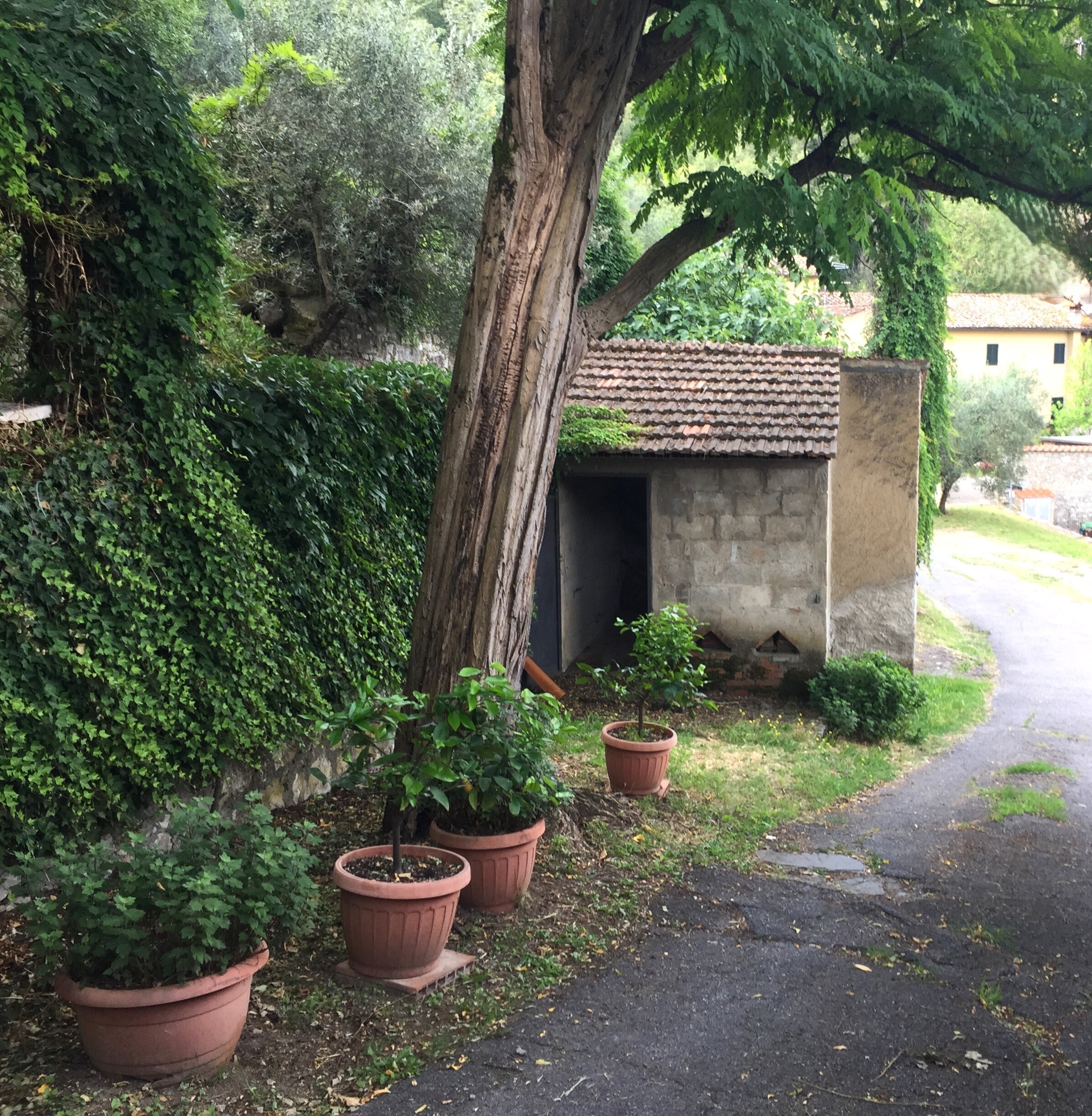 Rustico con giardino in via di filettole, Prato