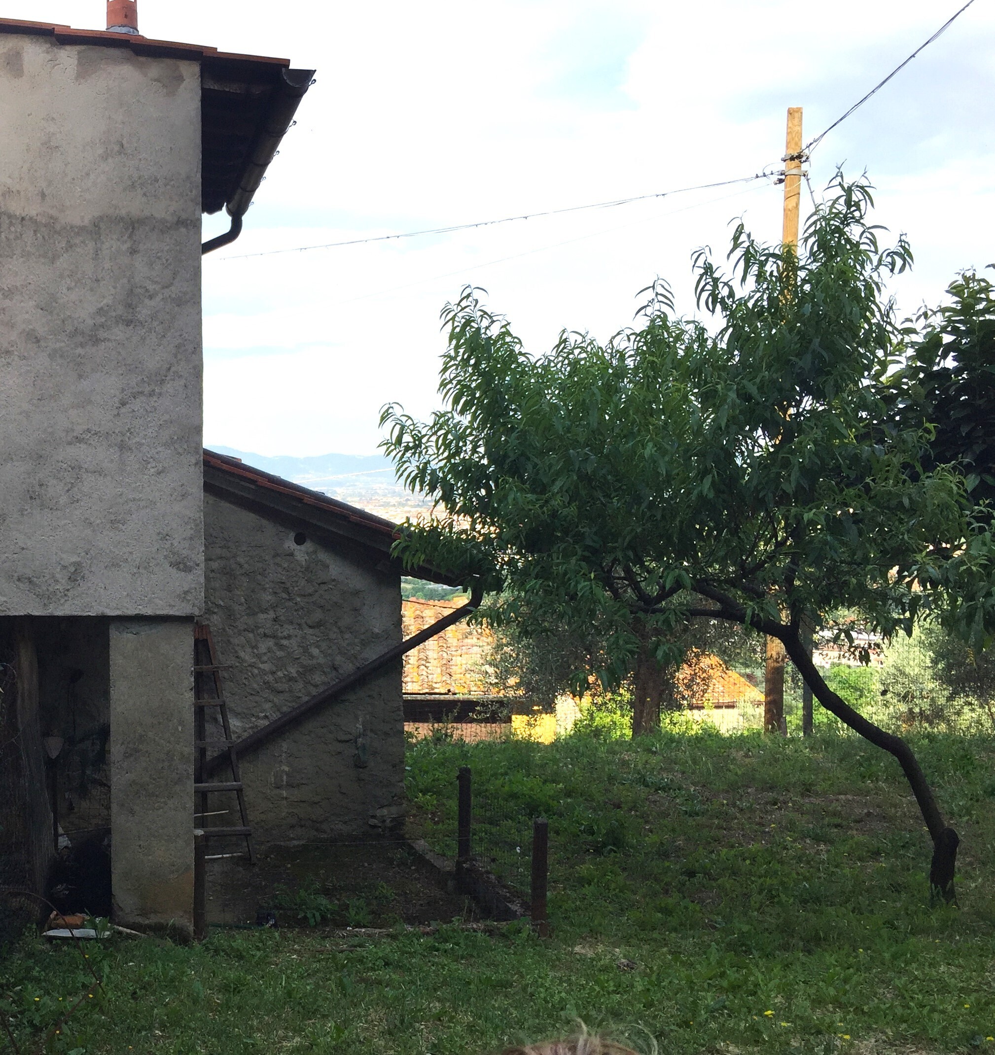 Rustico con giardino in via di filettole, Prato