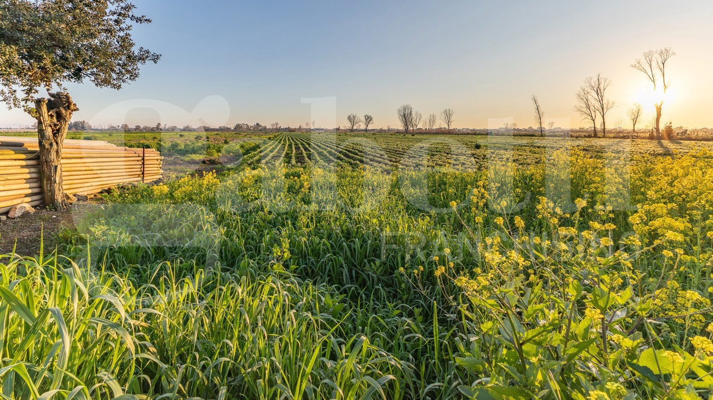 Villa Bifamiliare in vendita a Latina