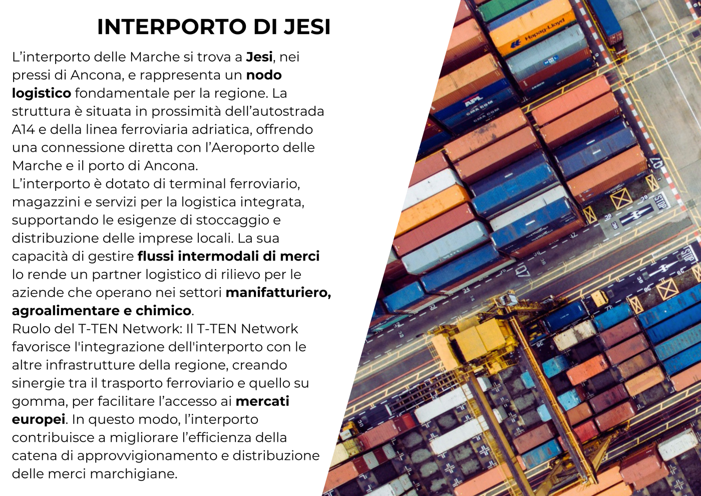 Capannone in affitto a Ancona