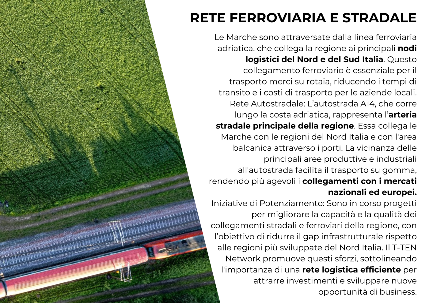 Capannone in affitto a Ancona