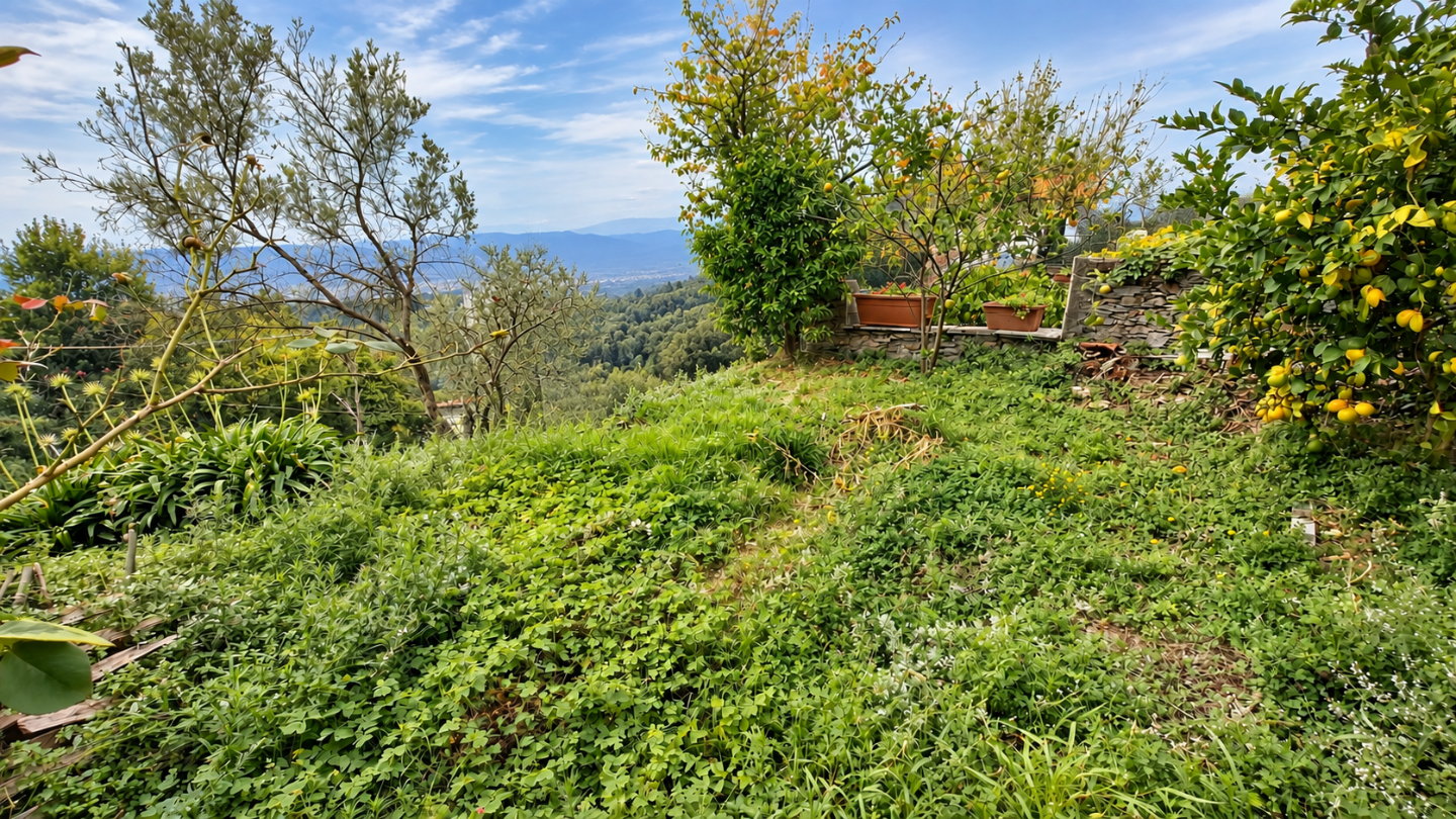 Casa indipendente con giardino a Ortonovo