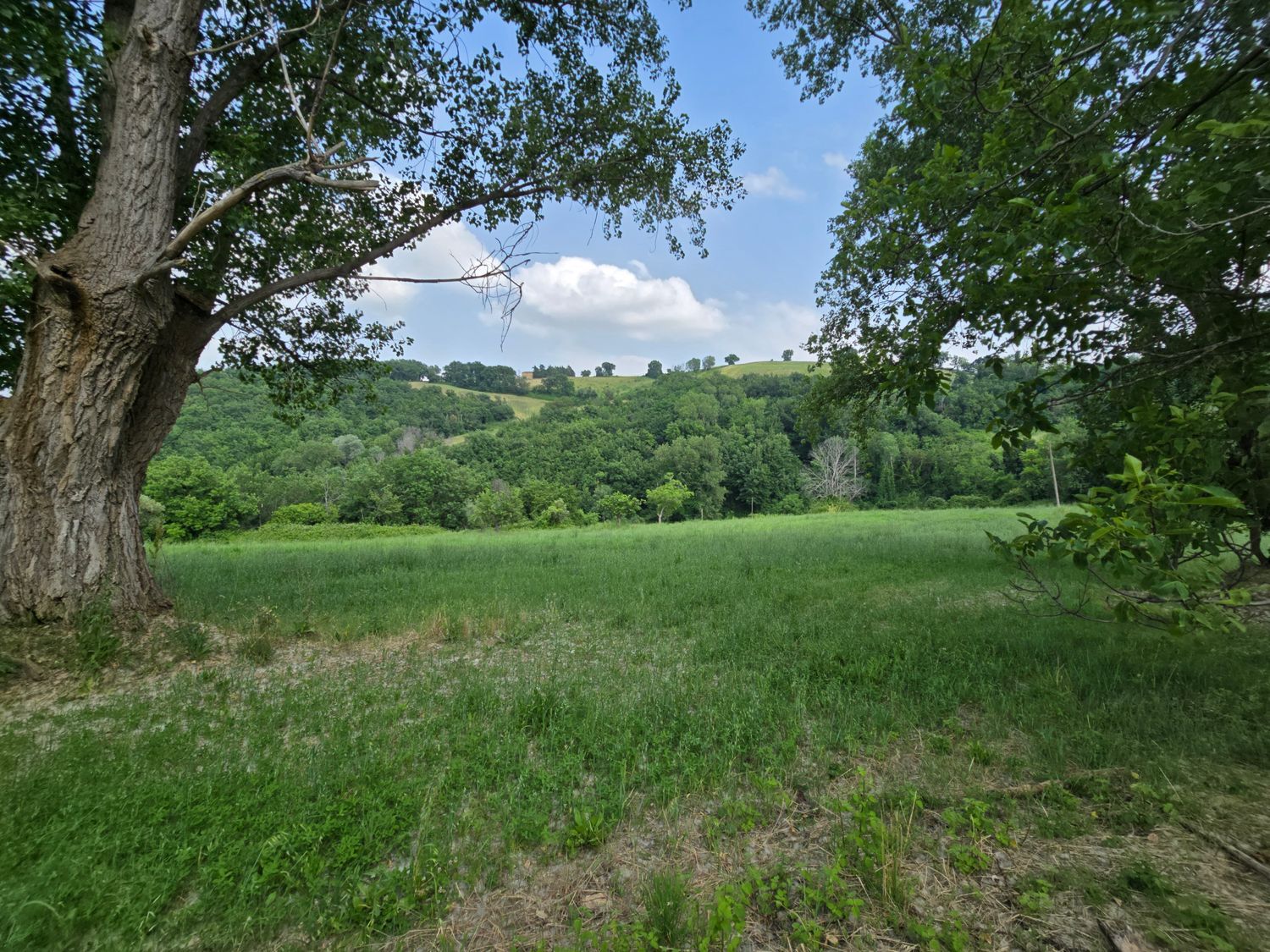Casa singola in vendita a Serrapetrona