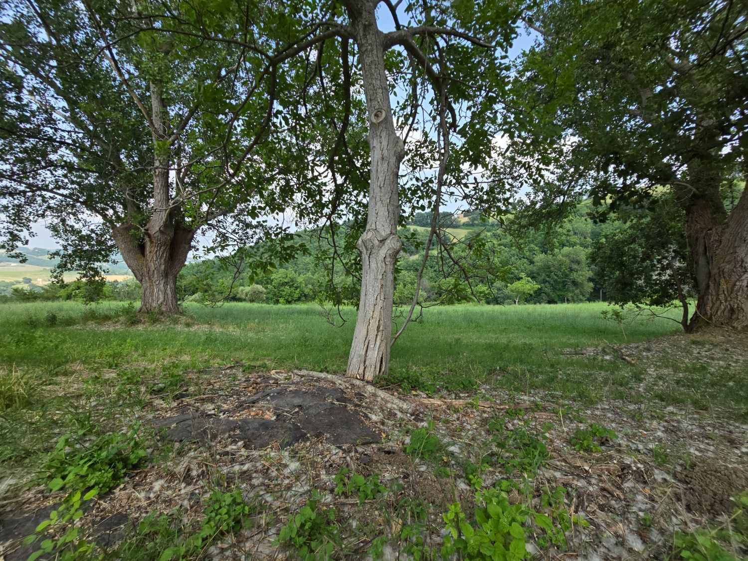 Casa singola in vendita a Serrapetrona