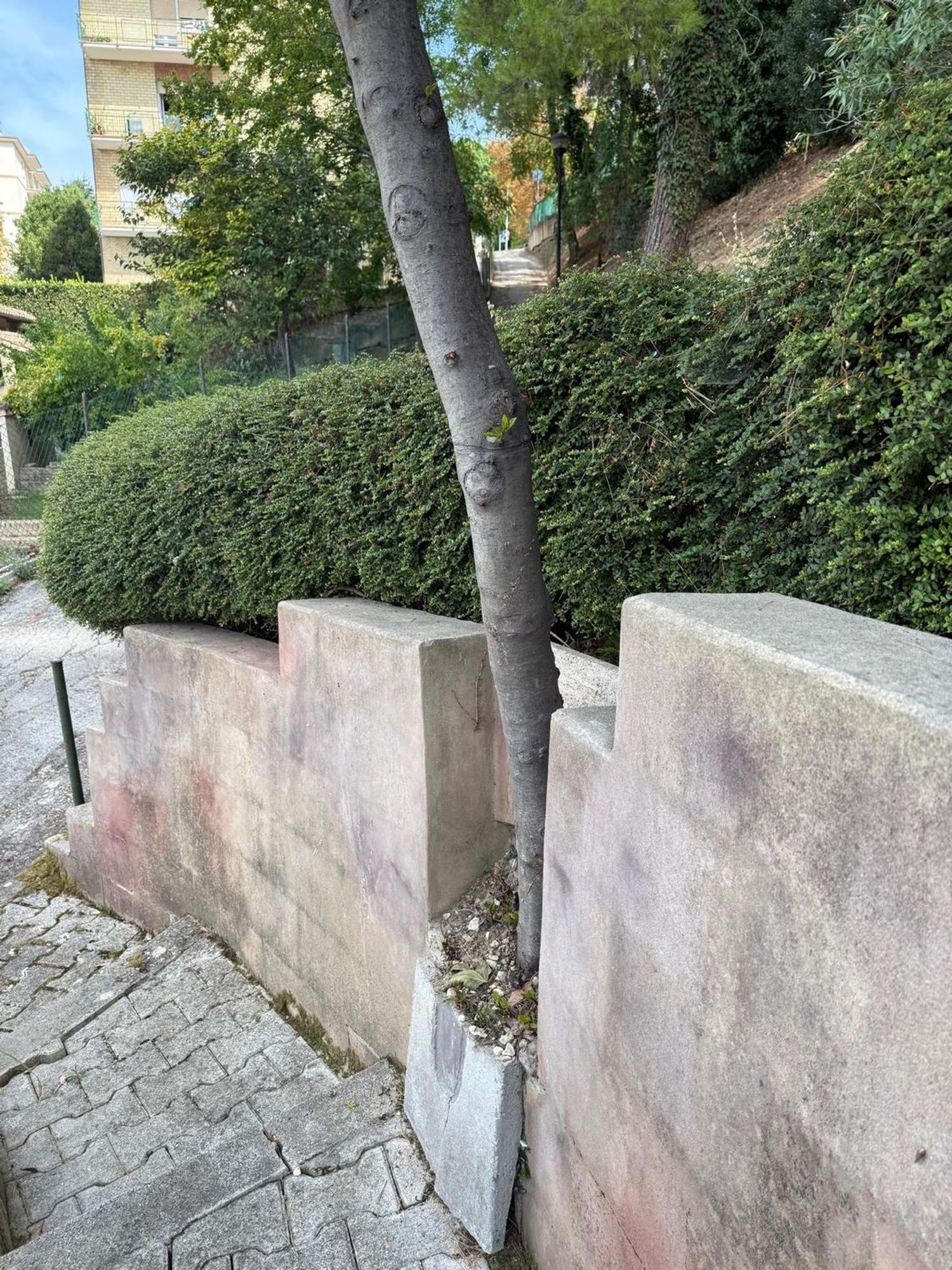 Casa singola in vendita a Macerata