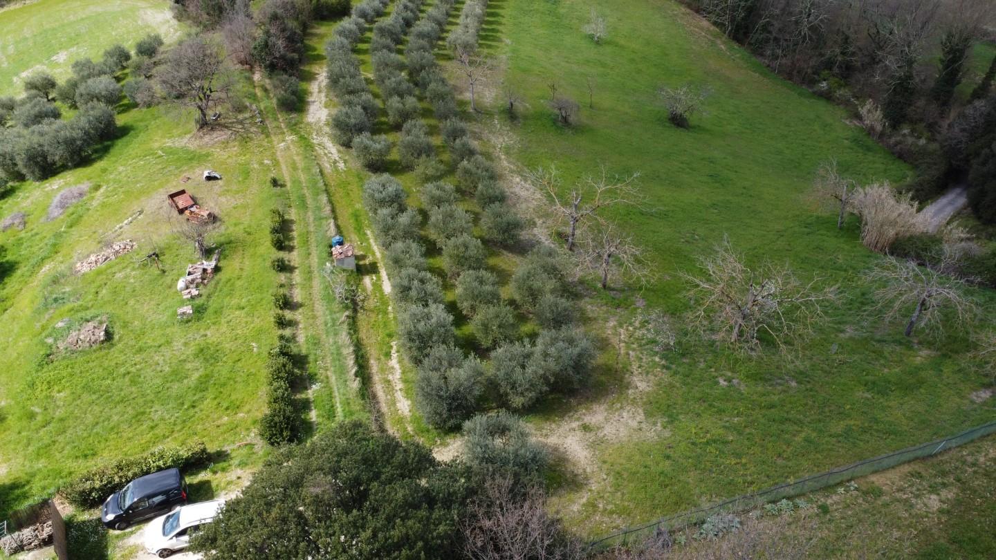 Rustico con giardino a Colle di Val d'Elsa