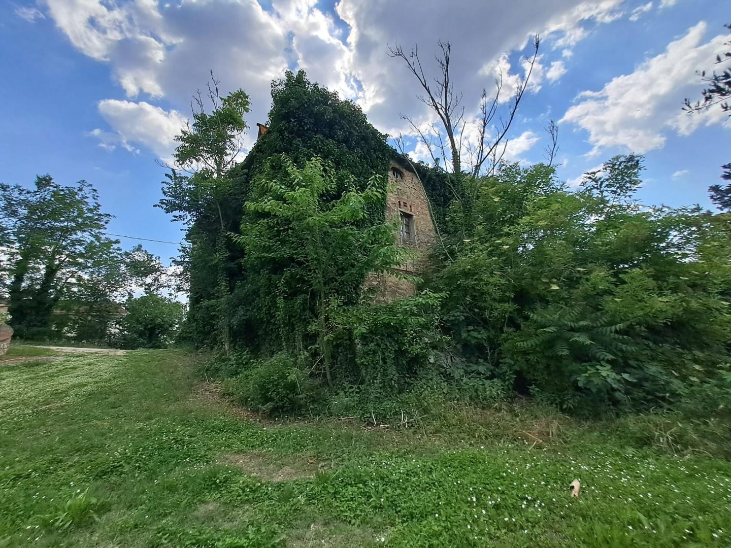 immagine annuncio 3 di 6