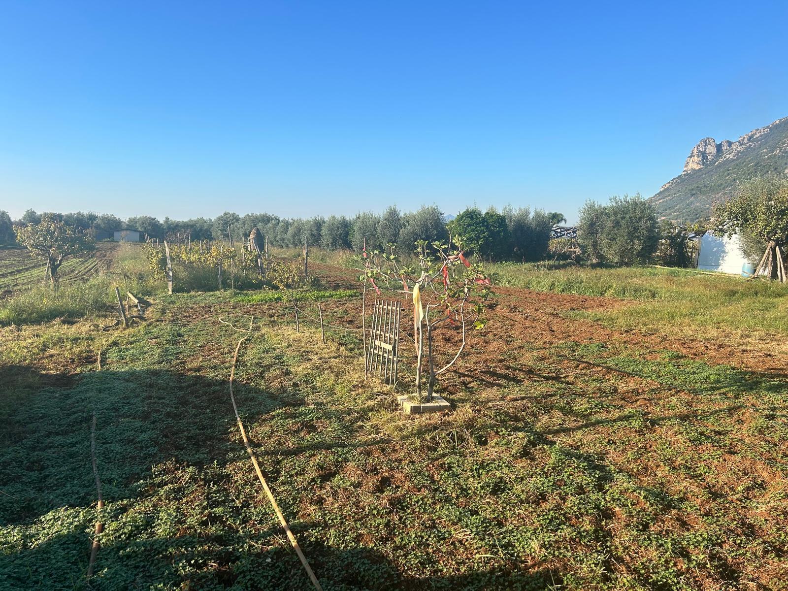 Terreno Agricolo in vendita a Terracina