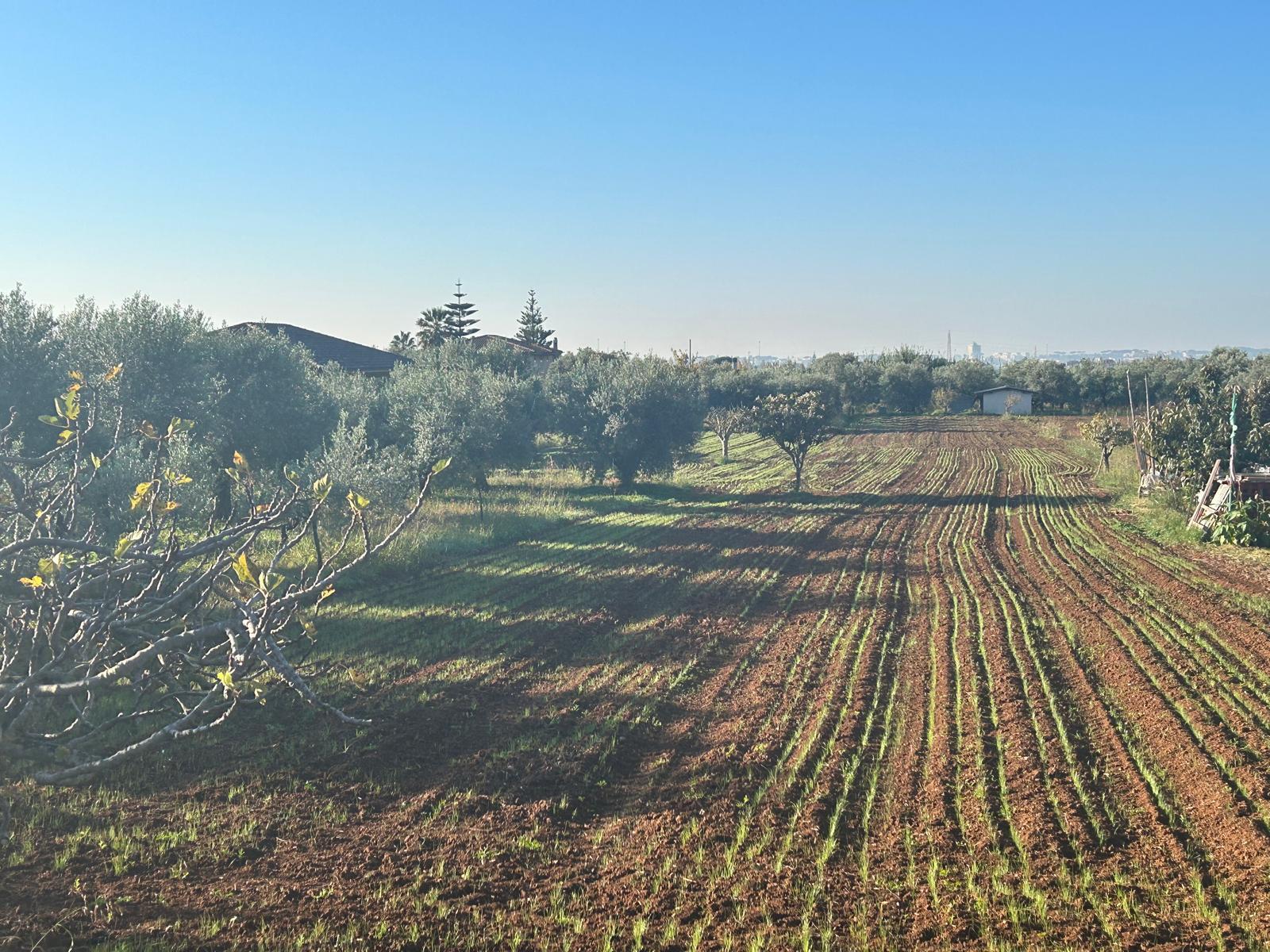 Terreno Agricolo in vendita a Terracina
