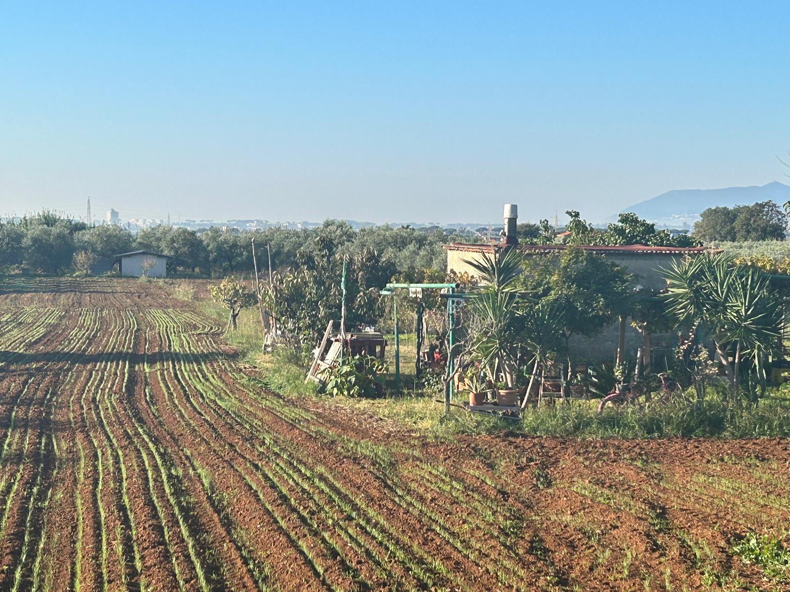 Terreno Agricolo in vendita a Terracina