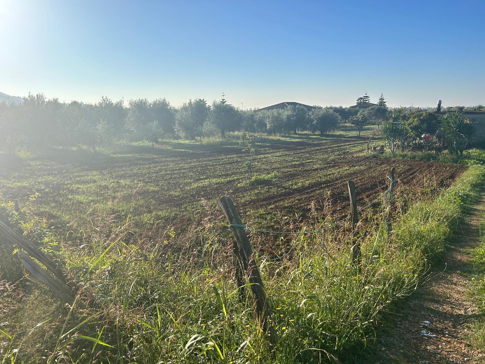 Terreno Agricolo in vendita a Terracina