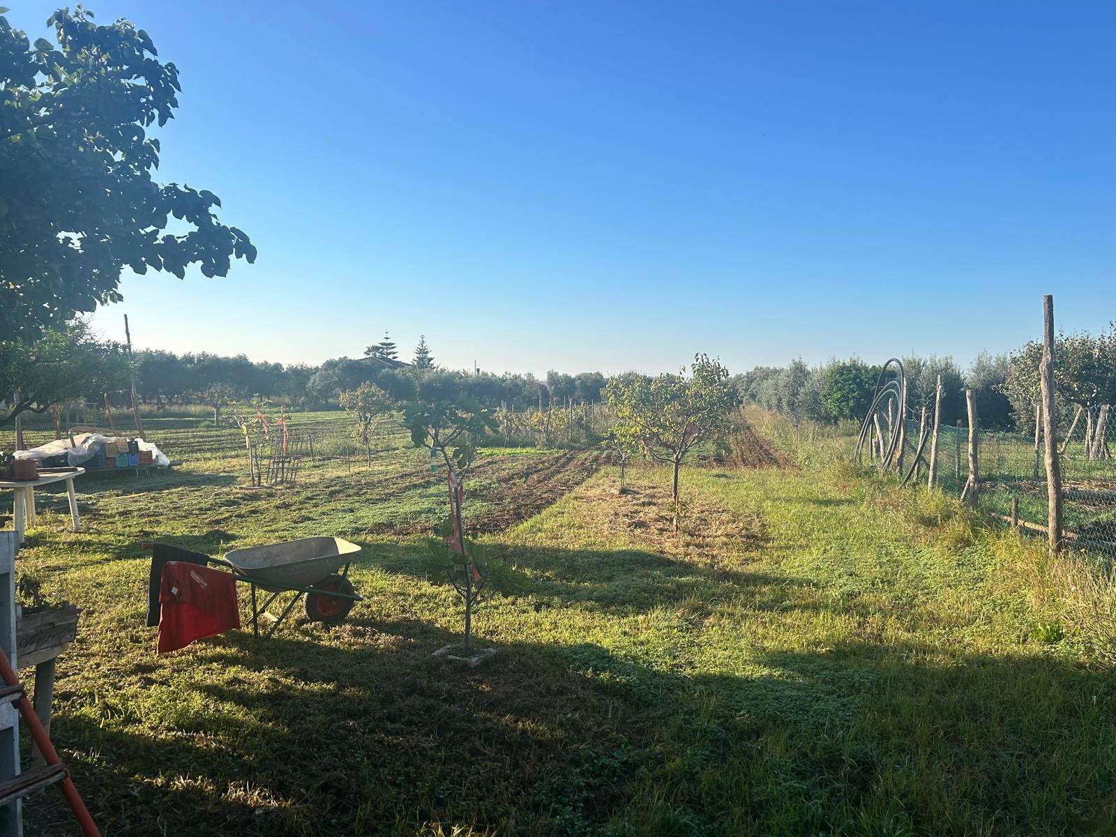 Terreno Agricolo in vendita a Terracina