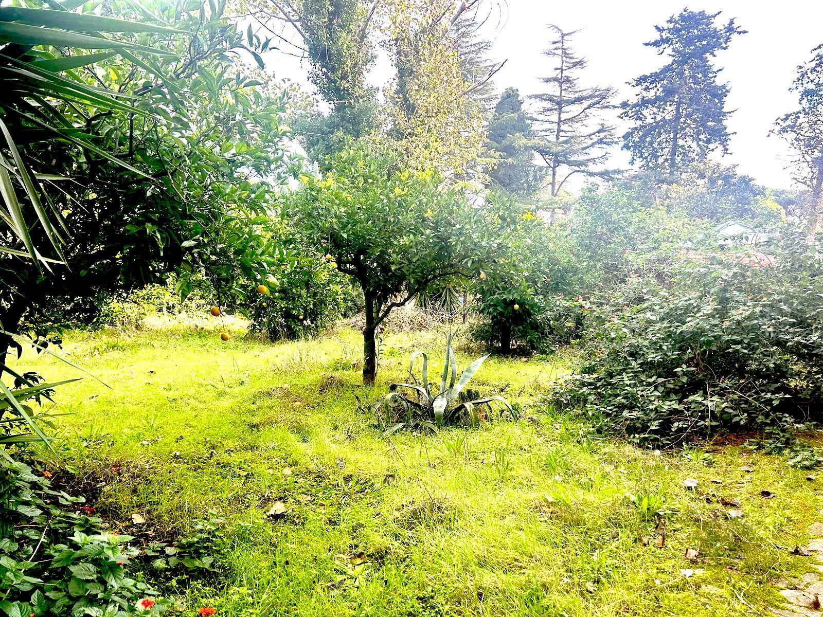 Appartamento con giardino in via flacca 123, Fondi