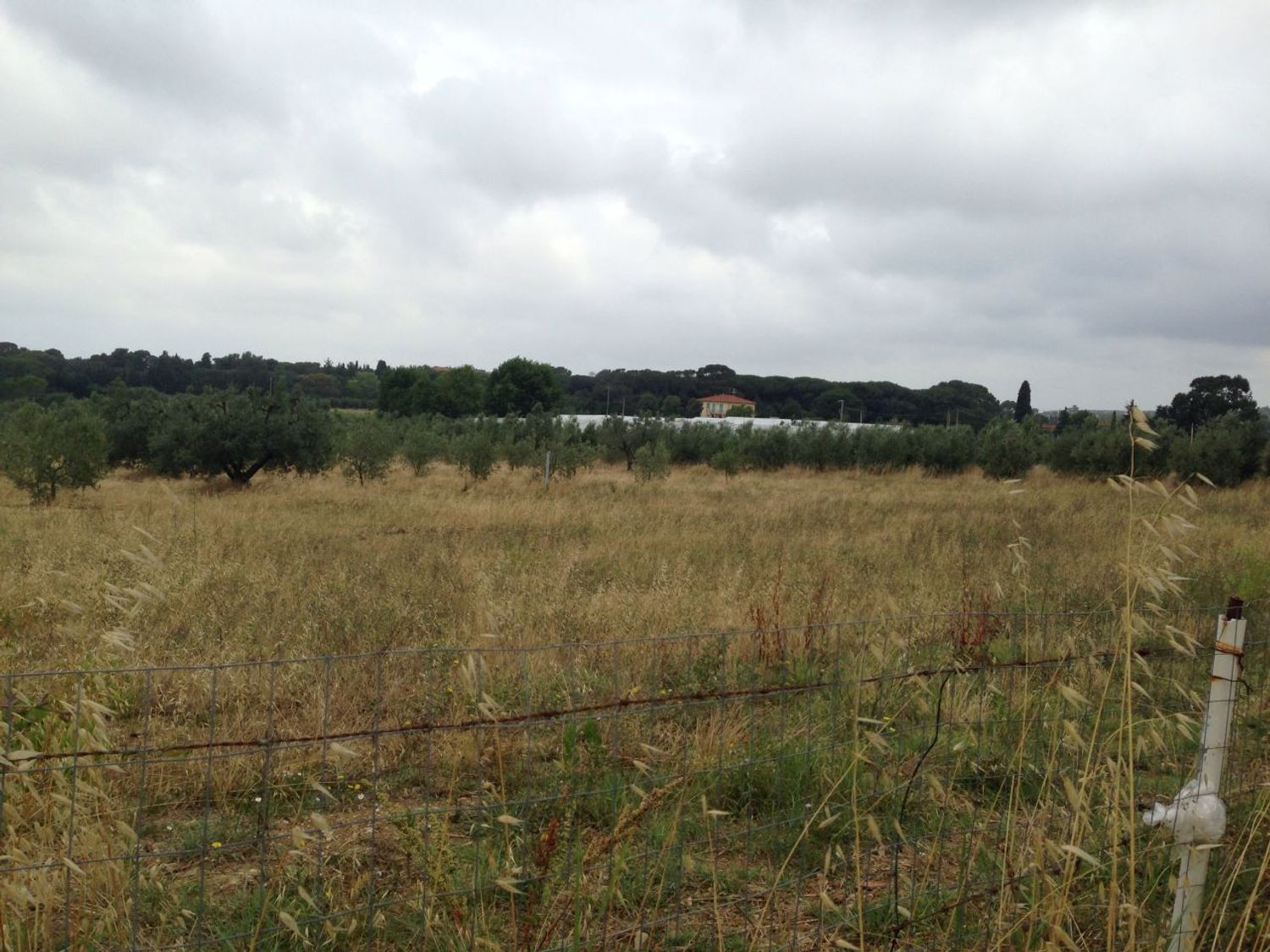 Bilocale in affitto a Livorno