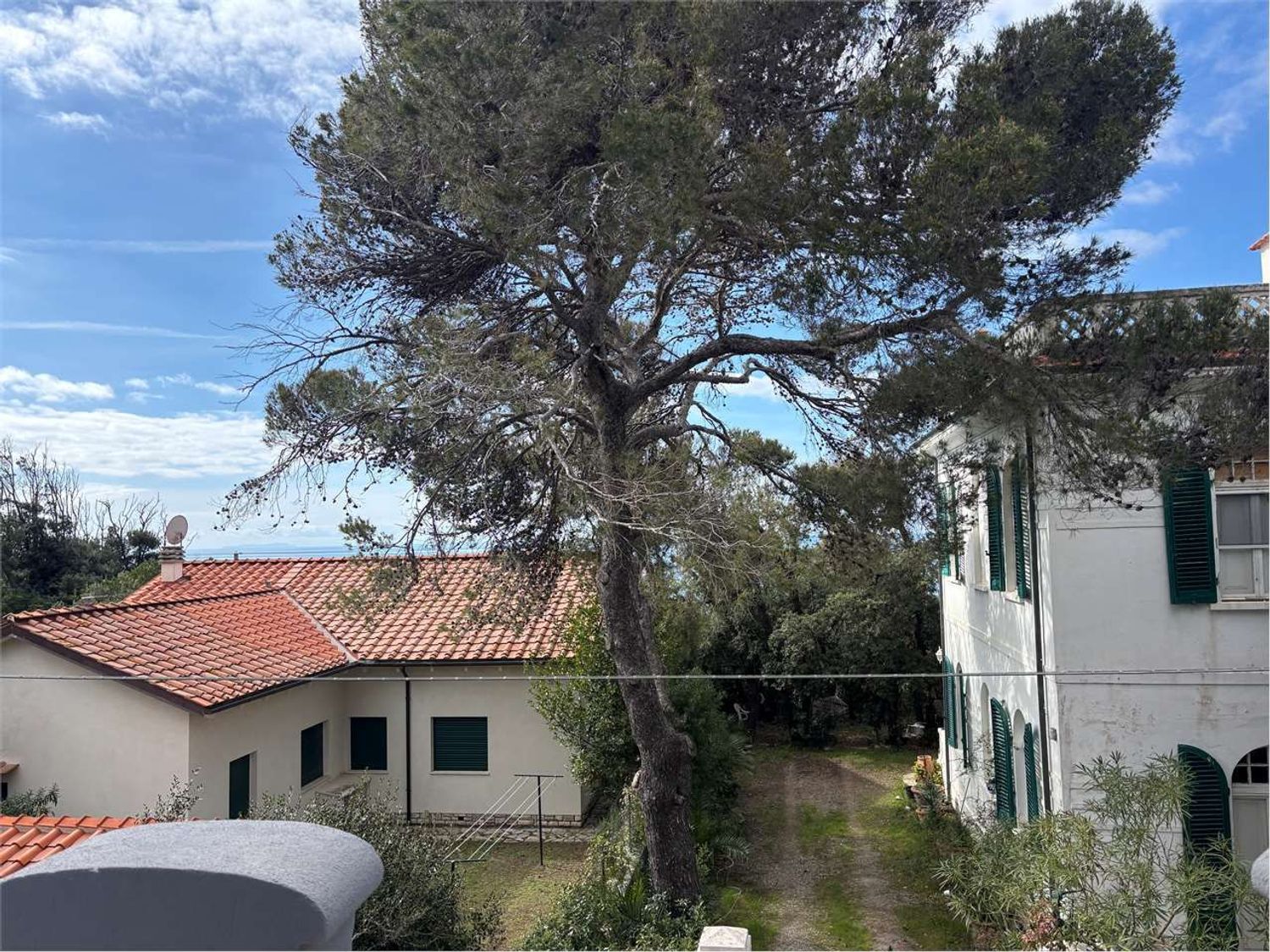 Casa indipendente con giardino a Rosignano Marittimo