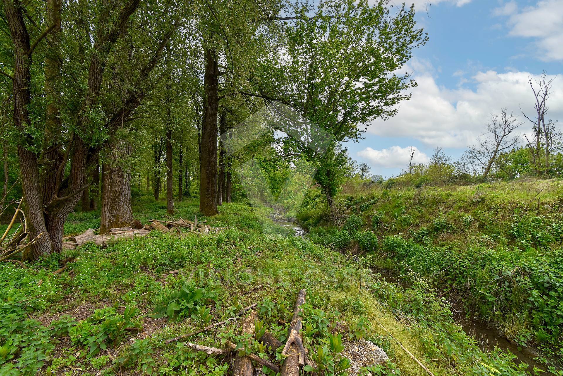 Terreno Agricolo in vendita a Opera