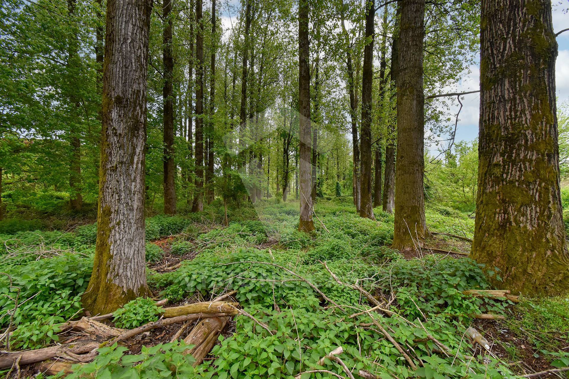 Terreno Agricolo in vendita a Opera