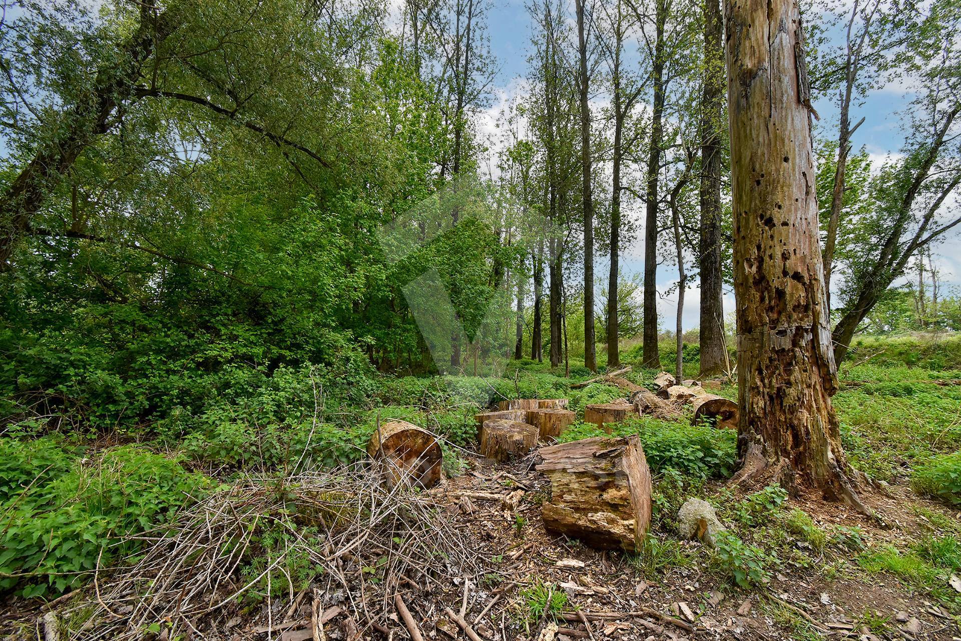 Terreno Agricolo in vendita a Opera