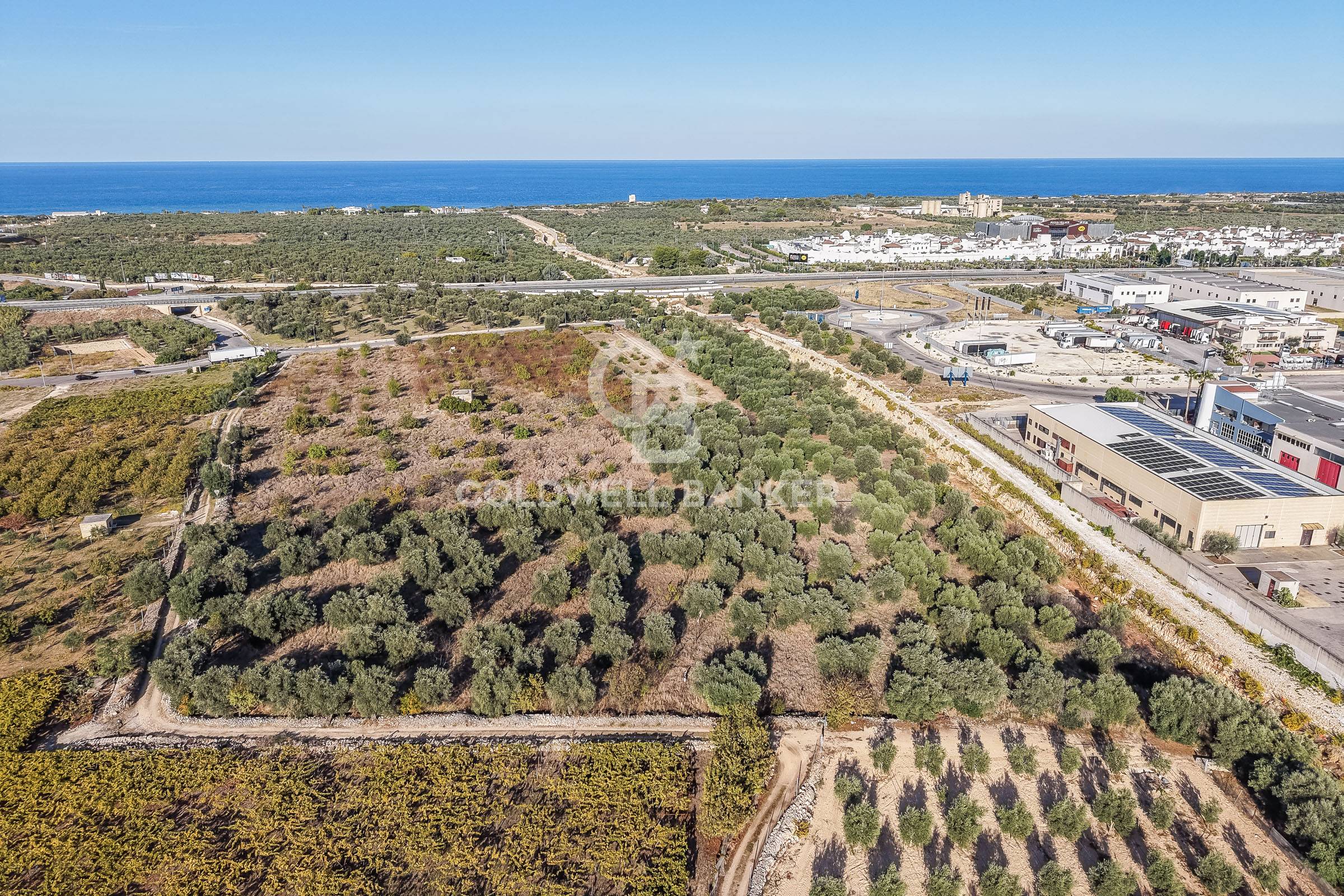 Terreno agricolo in vendita a Molfetta