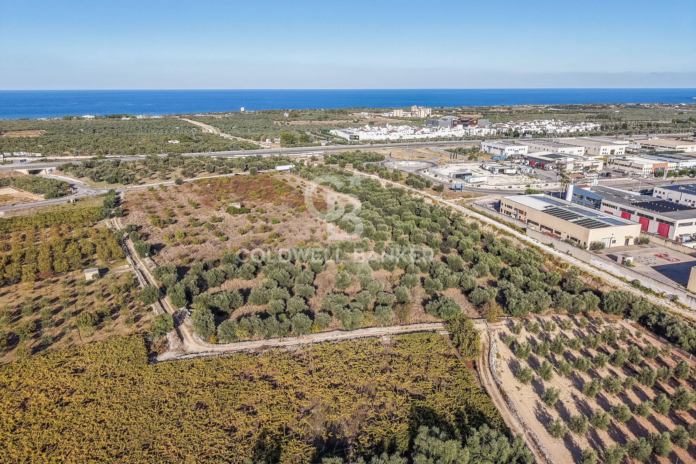 Terreno agricolo in vendita a Molfetta