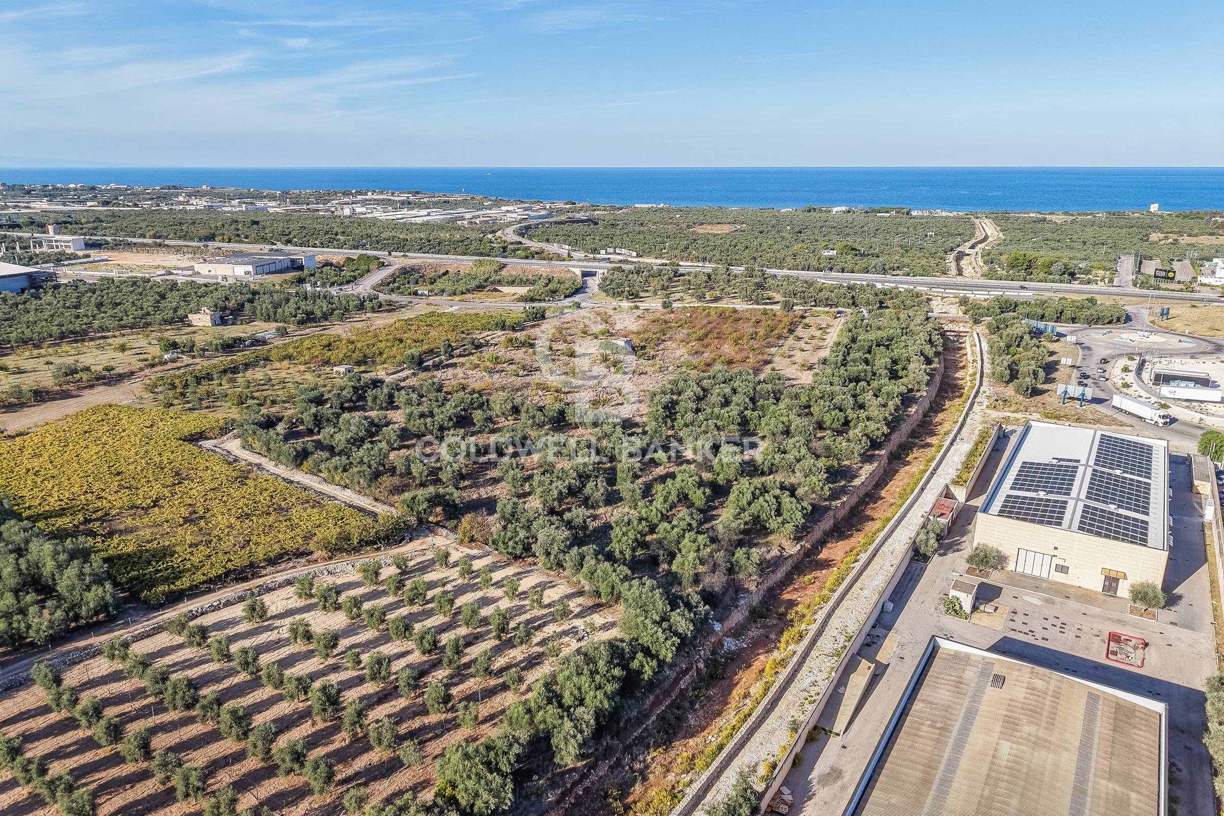 Terreno agricolo in vendita a Molfetta
