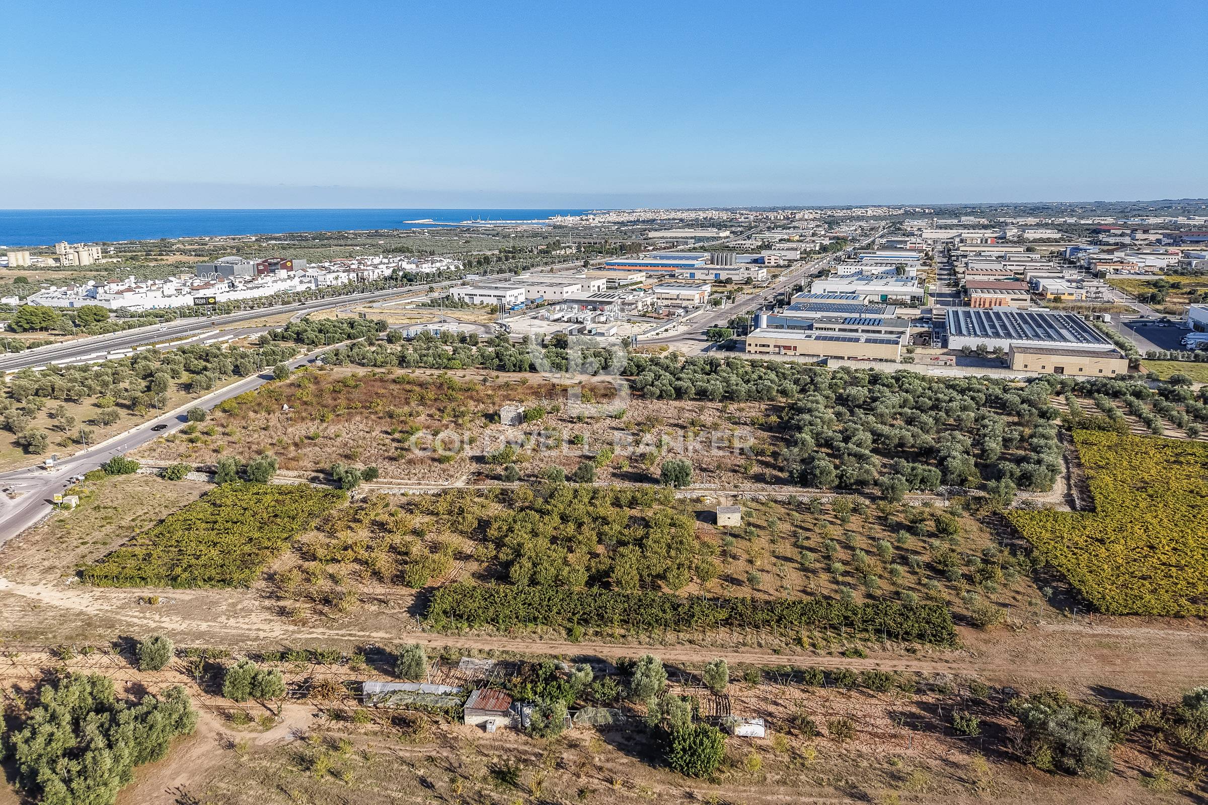 Terreno agricolo in vendita a Molfetta