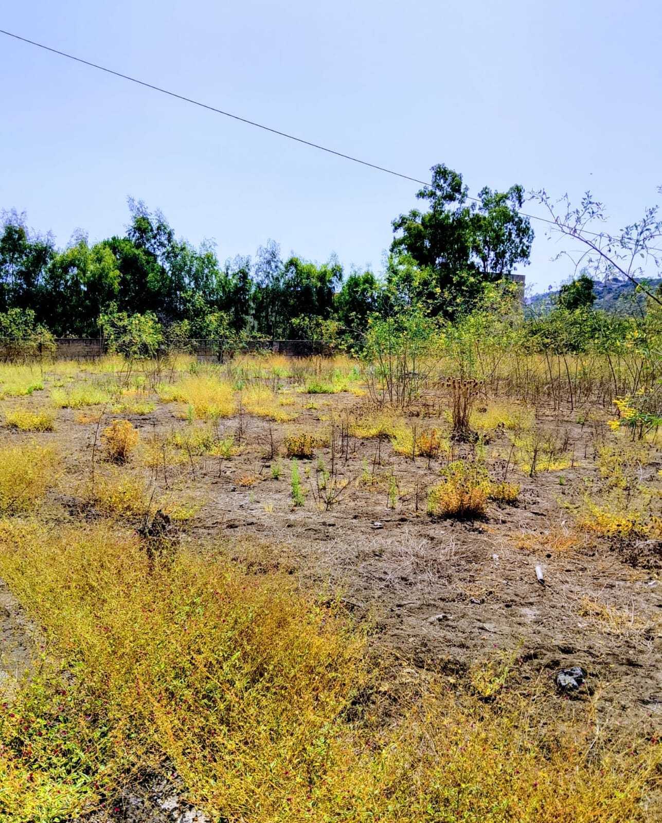 Terreno Agricolo da ristrutturare in lungomare agnone bagni, Augusta